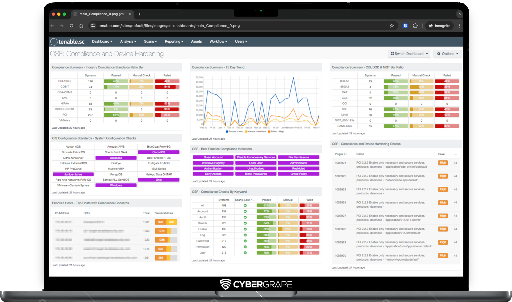 CyberGrape Tenable Dashboard