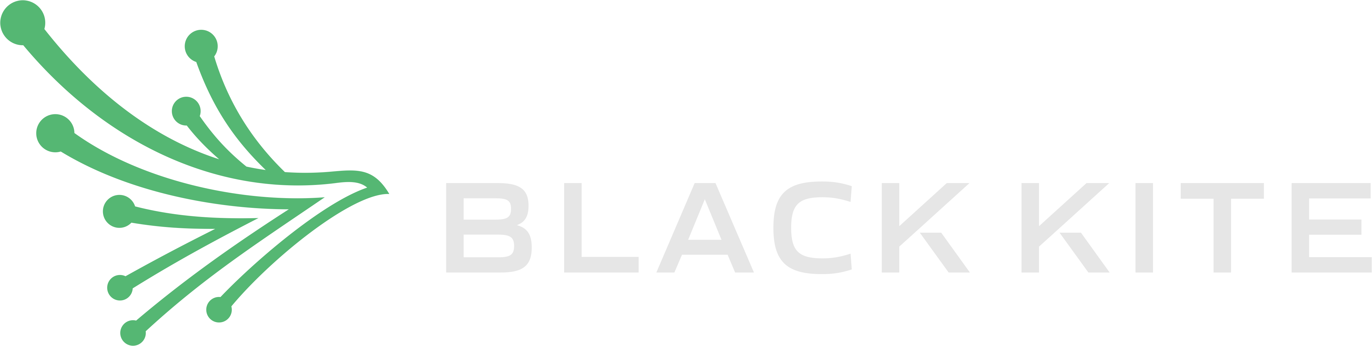 CyberGrape is proud partner with Black Kite